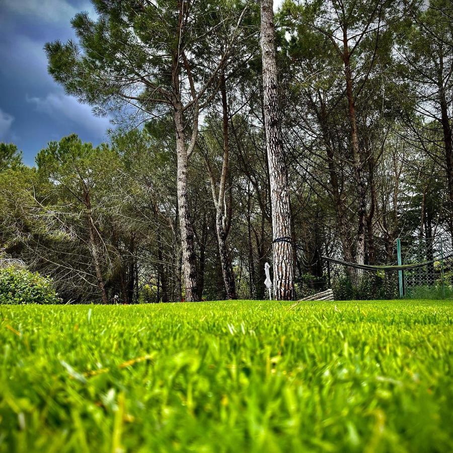 Camere Vecchia Fonte Campiglia Marittima Exterior foto